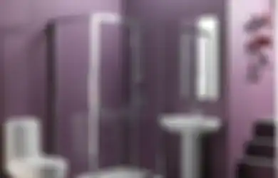 Desain Kamar Mandi Dalam Kamar Tidur Picu Penyakit Berbahaya, Pakar Feng Shui Minta Pemilik Rumah Pakai Warna Cat Ini