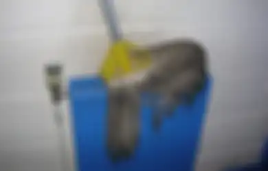 Dijamin Seperti Baru, Ternyata Begini Cara Bersihkan Kain Pel yang Dekil Banget, Tinggal Direndam Pakai Bahan Ini