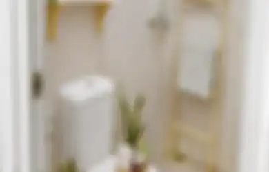 Nyelip di Ruang Sempit, Desain Toilet Minimalis Buru-buru Ditiru Ibu-Ibu Gegara Tampilan Begini, 9 Foto Inspirasinya Bikin Jatuh Hati