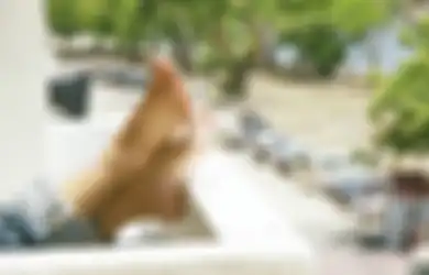 Aneka Tips Kesehatan, Ternyata Gunakan Bahan Dapur ini Atasi Tumit Kaki Pecah-pecah, Dijamin Mulus Lagi