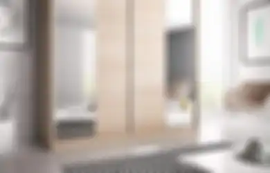 Sebelum Menyesal, Begini Cara Memilih Gaya Lemari Ganda yang Pas untuk Ruangan