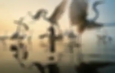 10 Cara Foto Jalanan yang Bisa Langsung Dicoba Sendiri, Mudah!