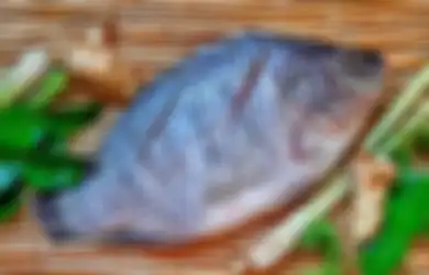Tips Hidup Sehat, Sejuta Manfaat Ikan Nila Bagi Kesehatan Tubuh, Salah Satunya Bagi Para Wanita!