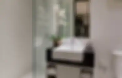 Hidung Tuan Rumah Tambah Bangir! 8 Model Partisi Ini Bikin Foto Desain Kamar Mandi Dipuji-puji
