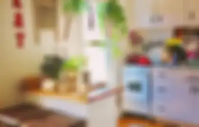 Masalah Area Masak Teratasi, Foto Desain Dapur Mungil Kian Segar, 7 Tanaman Hias Ini Jadi Solusi
