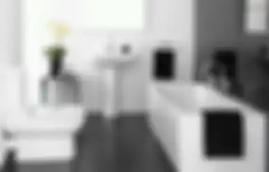 Jangan Main Beli, Foto Desain Kamar Mandi Jadi Sorotan Gegara Material Ini 