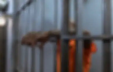 Mengapa Terjadi Pelanggaran Hukum? Berikut Ini Penjelasannya