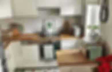 Punya Masalah Biaya Renovasi? Akali Desain Dapur Cantik Modern Pakai 7 Trik Ini, Foto Aplikasinya Jadi Sensasi