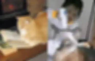 Ampuh Tangkal Santet dan Jin Khodam Jahat Kiriman Orang, Kucing Dipercaya Jadi Peliharaan Terbaik untuk Buang Energi Negatif