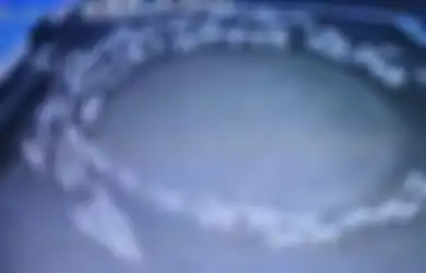 Viral Fenomena Tak Biasa Sekawanan Domba Berjalan Melingkar Berhari-hari, Ilmuwan Ungkap Penyebabnya