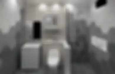 Desain Kamar Mandi Sederhana Terlihat Mewah Karena Elemen Dekorasi Khusus, Foto Interiornya Direkomendasi