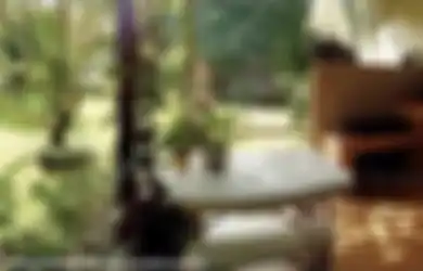 Dipuji Foto Desain Dapur Terbuka Kian Cantik, Ini Trik Mujarab Pemilik Rumah Agar Tikus Tak Berani Dekat-dekat