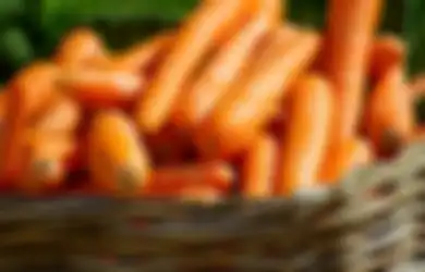 Tips Kesehatan, Gampang Banget, Atasi Asam Lambung dengan Wortel yang Diolah Jadi Seperti Ini