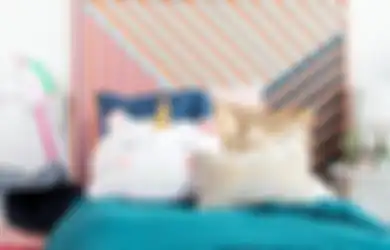 Perhatikan Pilihan Headboard Tempat Tidur Anak Anda, Ikuti Tips Berikut!