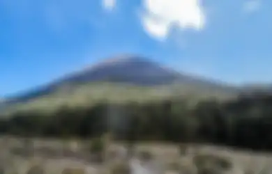 Kisah Pilu di Balik Erupsi Semeru, Warga Berlarian di Pagi Buta Demi Selamatkan Diri dan Keluarga