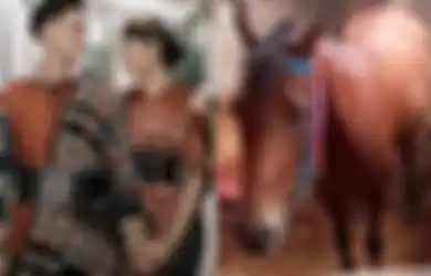 Kriteria Kuda Penarik Kereta Kaesang Pangarep dan Erina Gudono Saat Kirab Terungkap, Keluarga Jokowi Minta Hal Ini