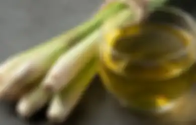 Bisa Bikin Asam Lambung Langsung Reda, Dua Bahan Herbal Alami Ini Bisa Atasi Maag Kambuh saat Puasa, Simak Cara Raciknya Sekarang Juga