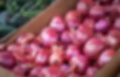 Home Owner, Ini 5 Langkah Cara Menanam Bawang Merah, Bisa Panen dalam Hitungan Bulan