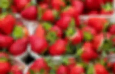 Aneka Tips Harian, Dijamin Bebas Pestisida dan Serangga, Begini Cara Mudah Mencuci Stroberi