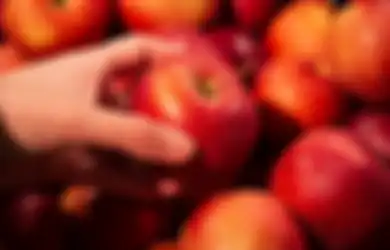 Aneka Tips Harian, Nyesel Baru Tahu Sekarang, Ternyata Begini Cara agar Potongan Buah Apel Tidak Berubah Kecoklatan