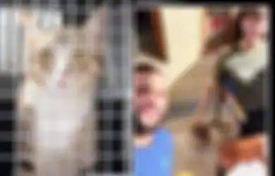 Gagal Bawa Trofi Piala Dunia 2022, Timnas Inggris Bawa Kucing Liar Dari Qatar