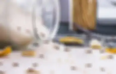 Aneka Tips Harian, Nyesel Baru Tahu Sekarang, 3 Bahan ini Ampuh Hilangkan Semut dari Rumah