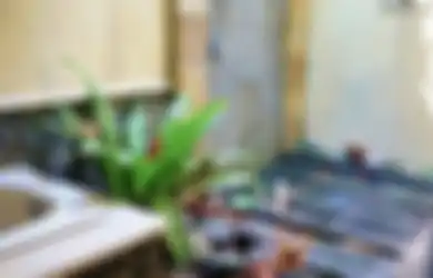 Mungkin Berminat, Begini Desain Kamar Mandi Terbuka di Rumah Minimalis, Foto Dekorasinya Bikin Rileks Banget