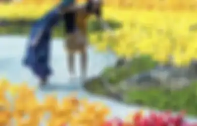 Berapa Harga Tiket Masuk Cimory Dairyland Puncak, Tempat Wisata di Bogor yang Banyak Spot Foto Aesthetic