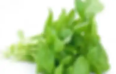 Kaya Akan Kandungan Asam Folat dan Asam Oksalat, Bayem Terbukti Ampuh Meredakan Gejala Asam Lambung 