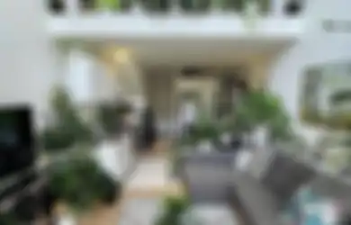 Desain Taman Indoor Minimalis Disegarkan, Foto Interior Rumah Dapat Kesan Tak Terduga