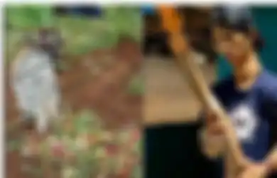 Tutup Mulut Usai Kematian Alprih, Panji Petualang Sekarang Kenang Momen Ini Bersama Sang Asisten, Warganet: Kirain Cuma Buat Sensasi Aja