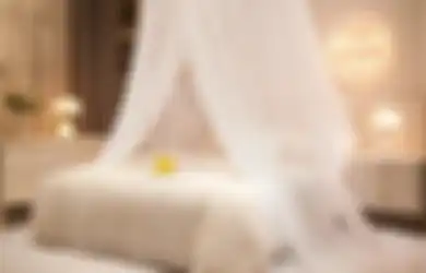 Jadi Mirip Kamar Raja Ratu, Siapa Sangka Manfaat Kanopi di Ruang Tidur Enggak Main-main, Apa Saja?
