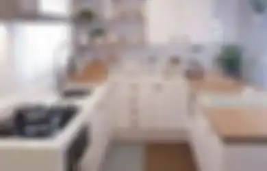 Pantes Banyak Ditiru, Ini yang Bikin Foto Dapur Mungil Bebas dari Kecoak dan Tikus