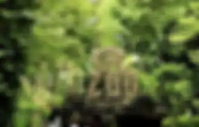 Cari Hotel Dekat Tempat Wisata Hits di Jogja, Cek Rekomendasinya Lengkap dengan Foto Aesthetic