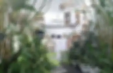 Bikin Iri, Foto Tampilan Desain Dapur Outdoor Jadi Aesthetic Berkat 5 Perabotan Wajib Ini
