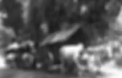Asal Usul Istilah Bajingan, Sebelum Dianggap Jadi Kata Makian Ternyata Dulu Punya Arti yang Mulia