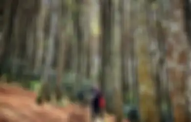 Cari Spot Foto Aesthetic di Bandung, Jelajahi Bukit Moko Tempat Wisata yang Lagi Hits