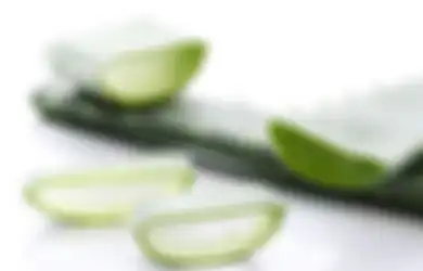 Asam Lambung Terbukti Langsung Berkurang, Simak Cara Olah Lidah Buaya Buat Penderita Penyakit Sejuta Umat Berikut Ini, Dijamin Efeknya Langsung Terasa