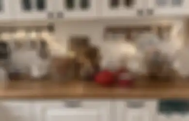 Begini Ciri-ciri Warna Kabinet Dapur yang Direkomendasikan Ahli Desain, Intip Potretnya