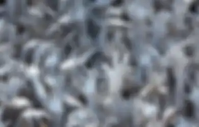 5 Weton Khodam Bolo Sewu, Bisa Dinaungi Dewa Bethara Kamajaya