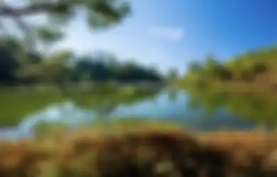 Cara Dapat Foto Estetik di Ranu Regulo Lumajang, Tempat Wisata dengan Aturan Unik