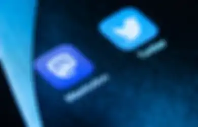 Usai 'Diusir' Twitter, Developer Tweetbot Kini Merapat ke Mastodon