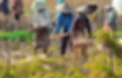 Ustaz Abdul Somad Tegaskan Hukum Wanita Bekerja di Luar Rumah, Singgung Sikap Nabi Muhammad SAW dan Masalah Gaji