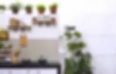 Cara Segarkan Dapur Kecil dengan Tanaman Hias, Potret Dekorasinya Boleh Ditiru