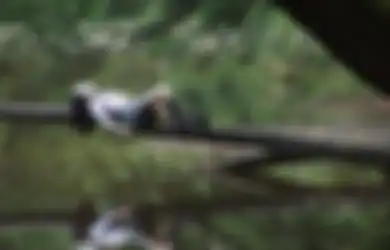 Bukan Gara-gara Jin Khodam, Orang dengan Weton Ini Sudah Misterius Sejak Lahir, Tiap Tindakannya Sulit Ditebak