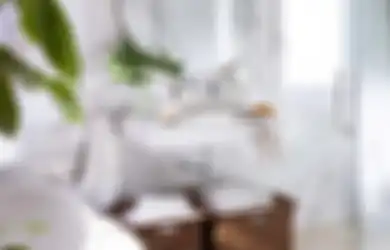 Kamar Mandi di Rumah Anda Kecil? Ketahui Tiga Aturan Kunci Berikut dalam Mendesainnya!