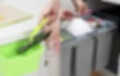 4 Cara Membasmi Belatung di Dapur Minimalis                        