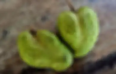 Tips Kesehatan, Ini Dia Manfaat Buah Sirsak untuk Turunkan Darah Tinggi sampai Gula Darah
