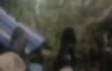 Dzikir Berkumandang, Kapolda Jambi Bermalam di Hutan, Ini Potret Kondisi Kecelakaan Heli