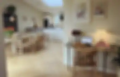 Gak Digerayangi Tikus Lagi, Coba Taruh Tempat Kotoran Kucing di Bagian Ini, Rumah Bebas Pengerat